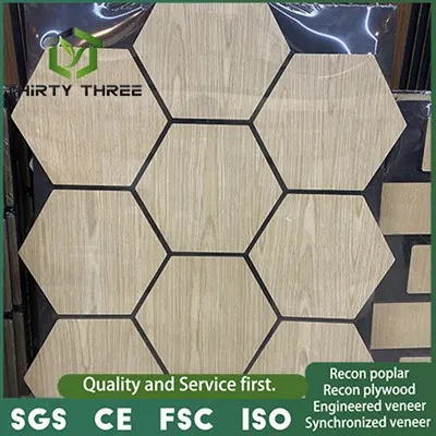 贅沢なインテリアの装飾のための環境に優しい技術的なアクパネル